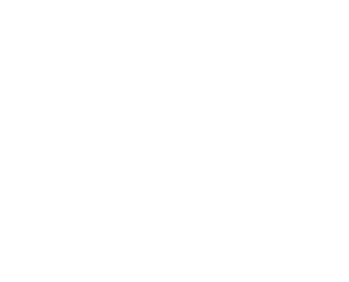 mouette