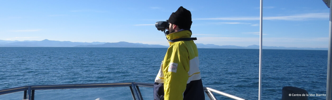 Observations en mer