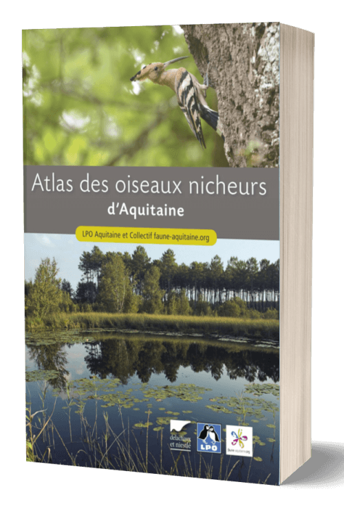 Oiseaux marins