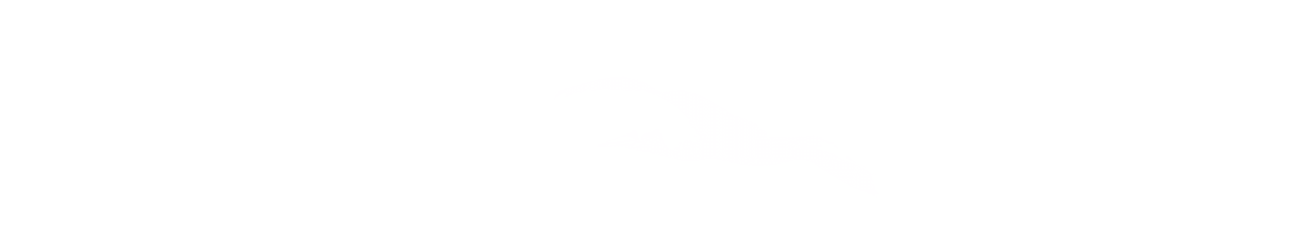 mouettes